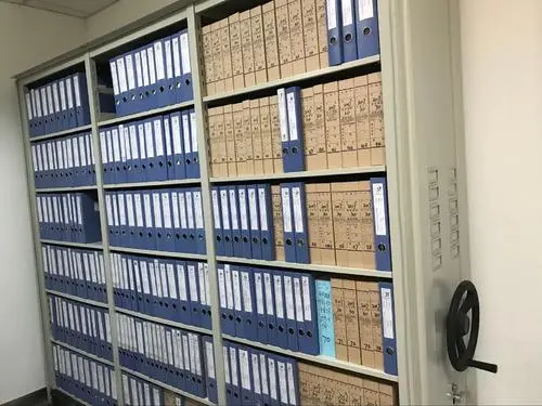 企业档案著录效率太低?试试这种智能化的批量处理方案